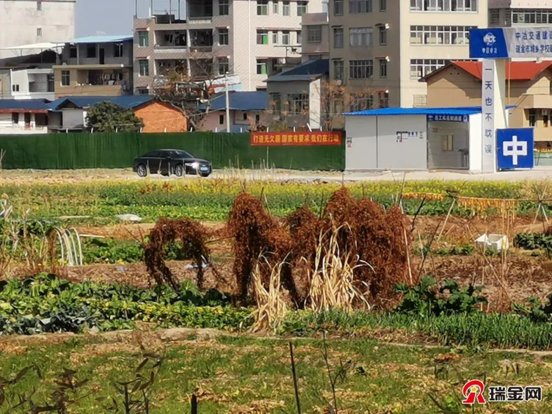 53亿元起!瑞金拍卖4块学校用地,含瑞金八中!