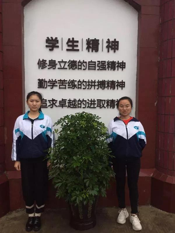 微信图片_20190310085513.jpg