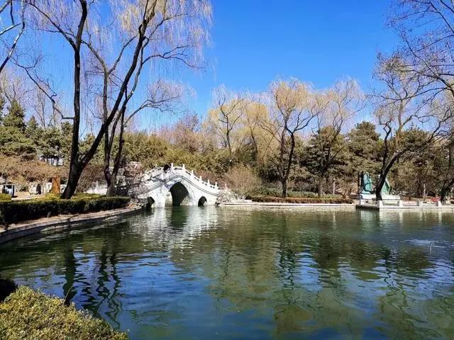 微信图片_20190314085247.jpg