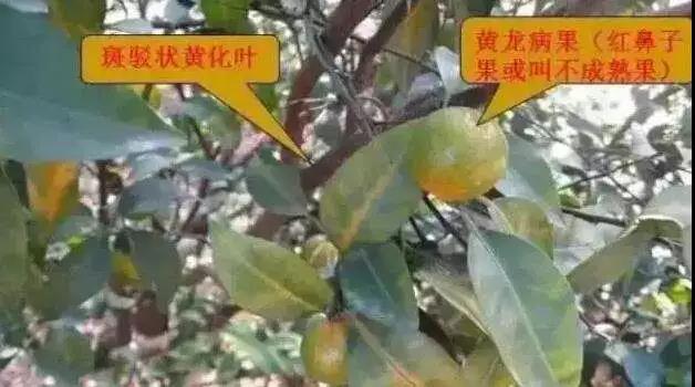 微信图片_20190317084737.jpg