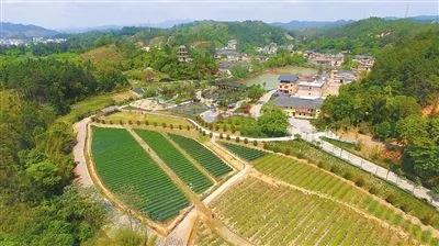 微信图片_20190325160821.jpg