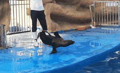 微信图片_20190517143505.gif
