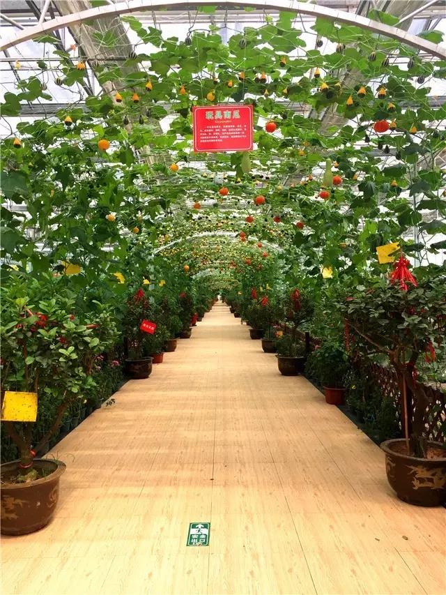 微信图片_20190517144304.jpg