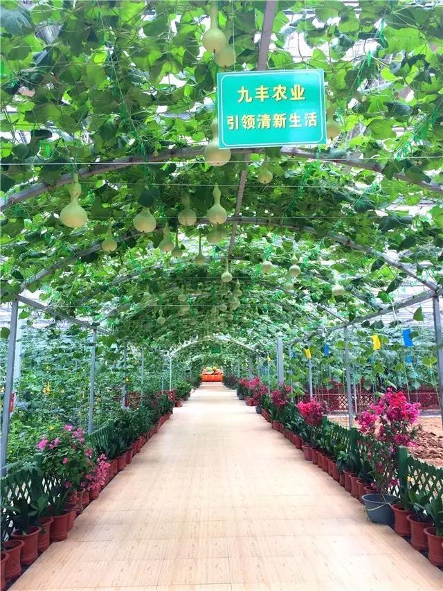 微信图片_20190517144306.jpg