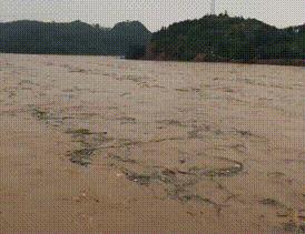 微信图片_20190613171300.gif